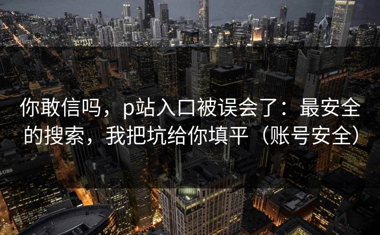 你敢信吗，p站入口被误会了：最安全的搜索，我把坑给你填平（账号安全）