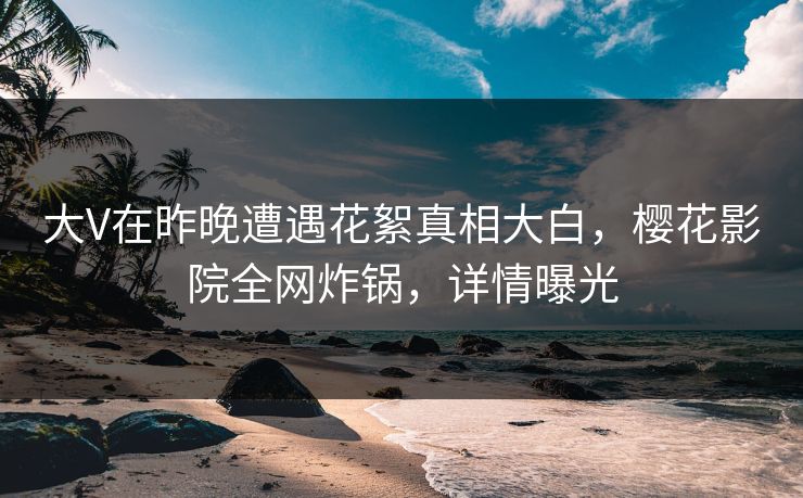 大V在昨晚遭遇花絮真相大白，樱花影院全网炸锅，详情曝光