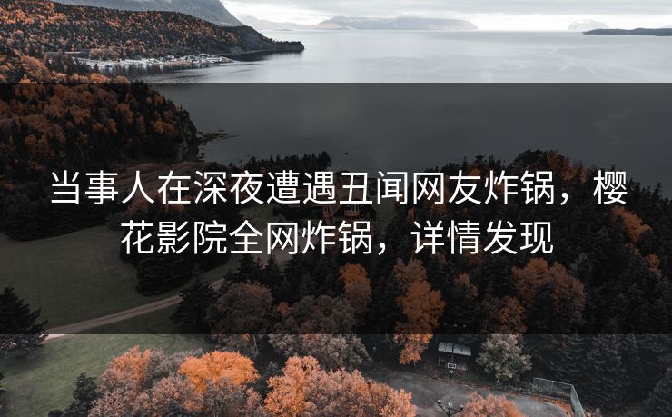 当事人在深夜遭遇丑闻网友炸锅，樱花影院全网炸锅，详情发现